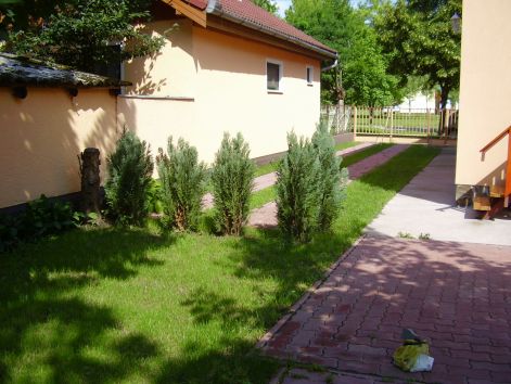 p7050133.jpg